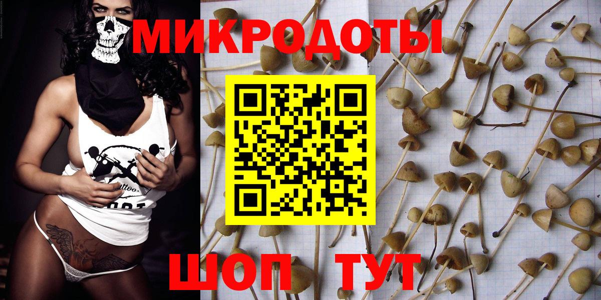 Псилоцибиновые грибы мухоморы Барнаул